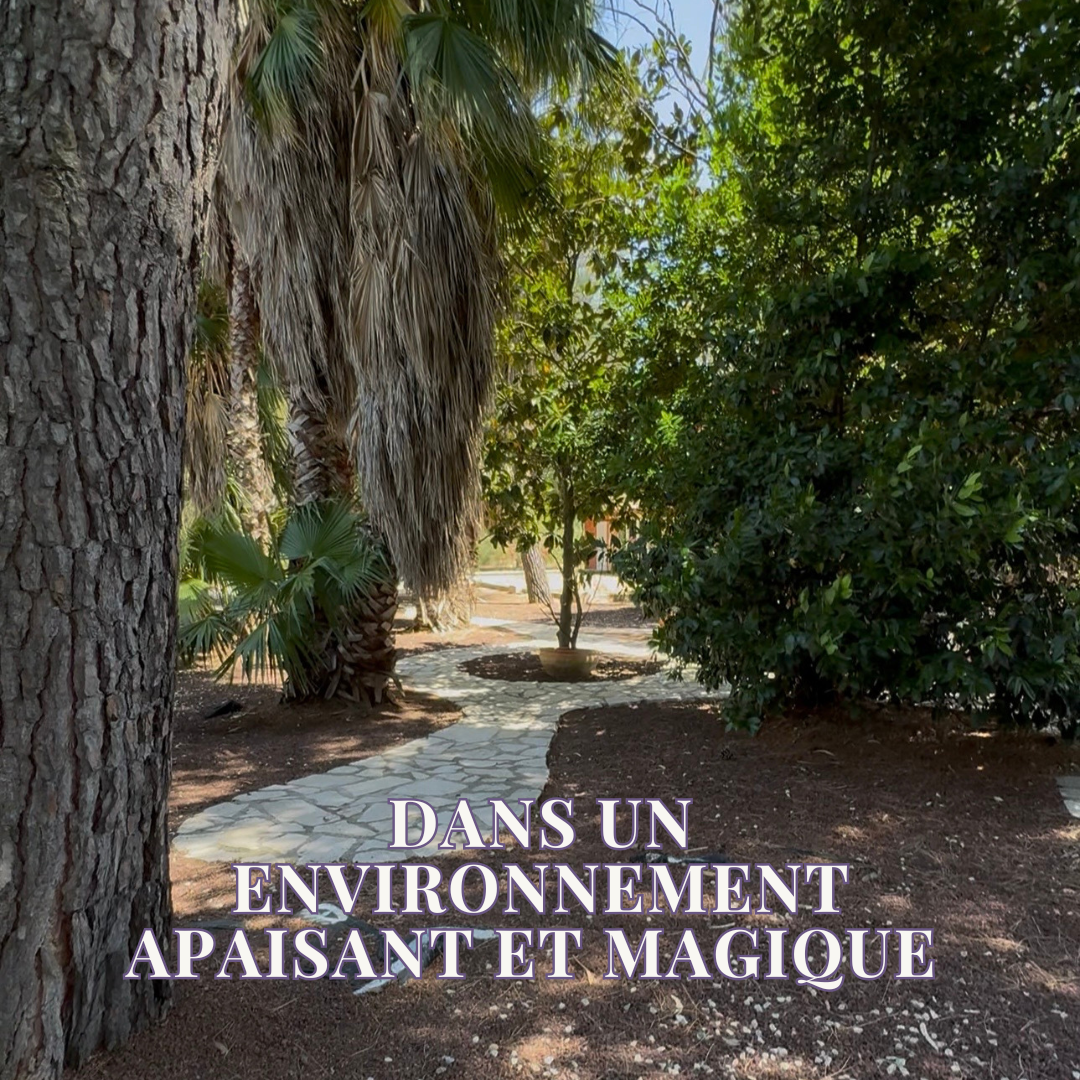 Jardin arboré et chemin naturel au cœur de Namastéop à Aigues-Mortes, offrant un environnement apaisant propice à la détente, à l'introspection et à la reconnexion à soi.